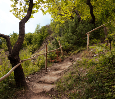 camí