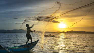 pesca i xarxa