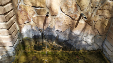 Temps Ordinari - Sisè diumenge