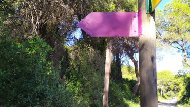 Temps Pasqual - Cinquè diumenge