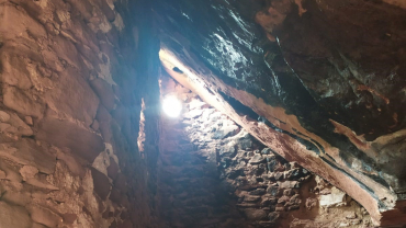 Temps Ordinari - Trenta-unè diumenge