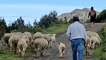 Temps Pasqual - Quart diumenge