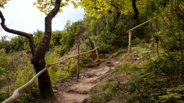 camí