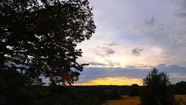 Sant Francesc