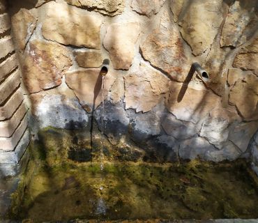 Temps Ordinari - Sisè diumenge