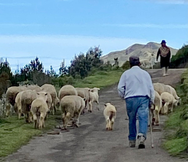 Temps Pasqual - Quart diumenge