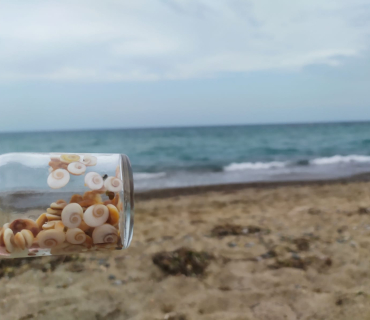 Perspectiva de tot